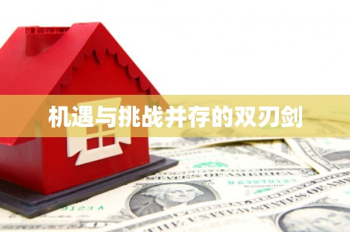 龙崎机遇与挑战并存的双刃剑