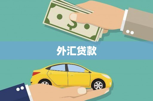 龙崎外汇贷款