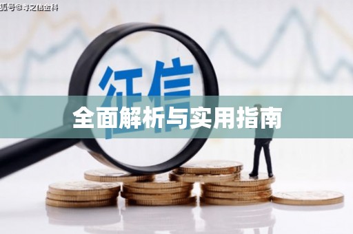 龙崎全面解析与实用指南