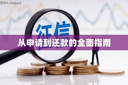 龙崎从申请到还款的全面指南