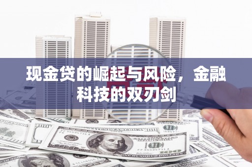 龙崎现金贷的崛起与风险，金融科技的双刃剑