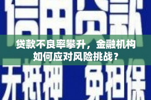 龙崎贷款不良率攀升，金融机构如何应对风险挑战？