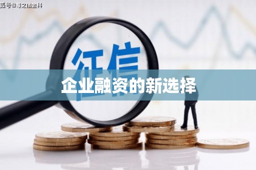 龙崎企业融资的新选择