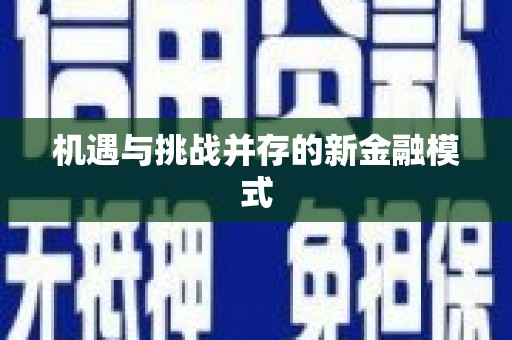 龙崎机遇与挑战并存的新金融模式
