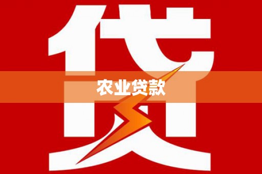 龙崎农业贷款