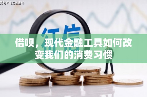 龙崎借呗，现代金融工具如何改变我们的消费习惯