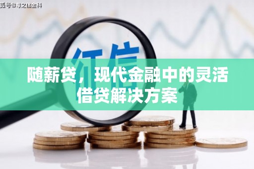 龙崎随薪贷，现代金融中的灵活借贷解决方案