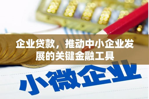 龙崎企业贷款，推动中小企业发展的关键金融工具