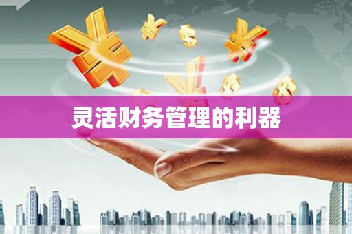 龙崎灵活财务管理的利器