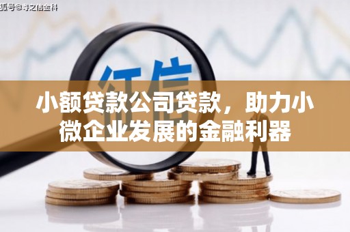 龙崎小额贷款公司贷款，助力小微企业发展的金融利器