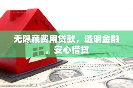 龙崎无隐藏费用贷款，透明金融，安心借贷