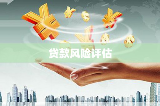 龙崎贷款风险评估