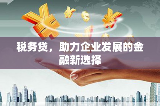 龙崎税务贷，助力企业发展的金融新选择