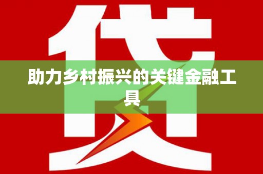 龙崎助力乡村振兴的关键金融工具
