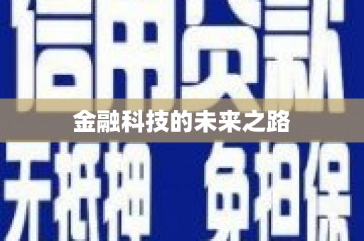 龙崎金融科技的未来之路