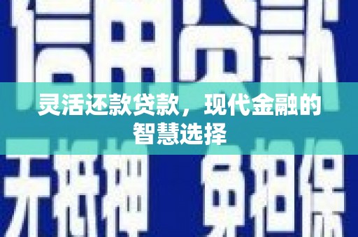 龙崎灵活还款贷款，现代金融的智慧选择