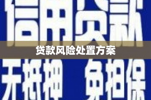 龙崎贷款风险处置方案