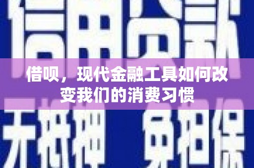 龙崎借呗，现代金融工具如何改变我们的消费习惯