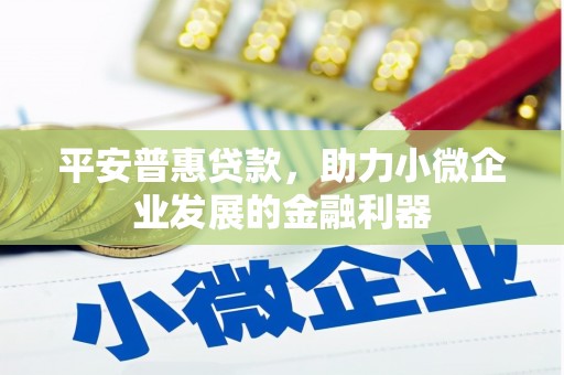 龙崎平安普惠贷款，助力小微企业发展的金融利器