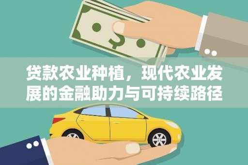 龙崎贷款农业种植，现代农业发展的金融助力与可持续路径