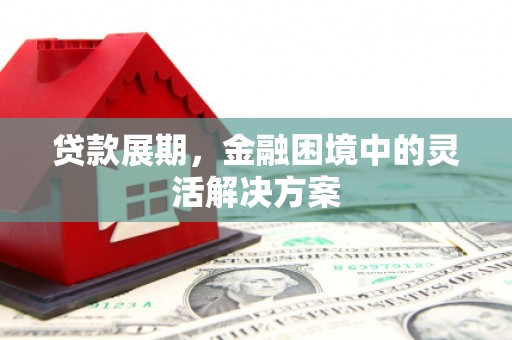 龙崎贷款展期，金融困境中的灵活解决方案