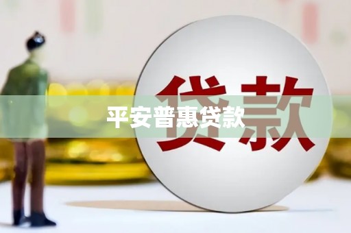 龙崎平安普惠贷款