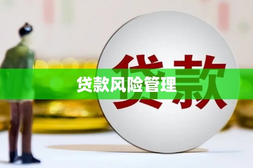龙崎贷款风险管理