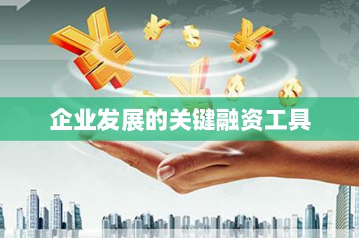 龙崎企业发展的关键融资工具