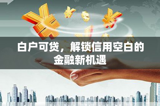 龙崎白户可贷，解锁信用空白的金融新机遇