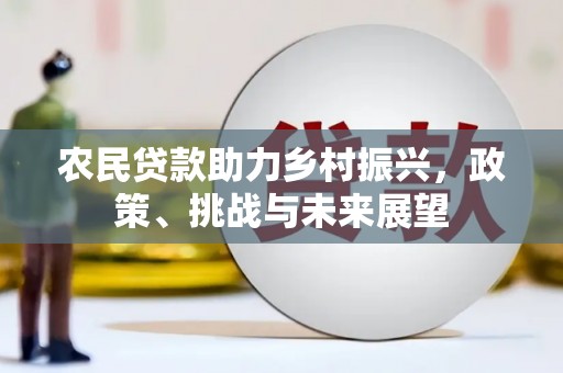 龙崎农民贷款助力乡村振兴，政策、挑战与未来展望