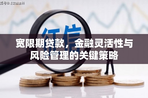 龙崎宽限期贷款，金融灵活性与风险管理的关键策略