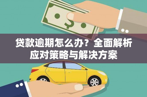 龙崎贷款逾期怎么办？全面解析应对策略与解决方案