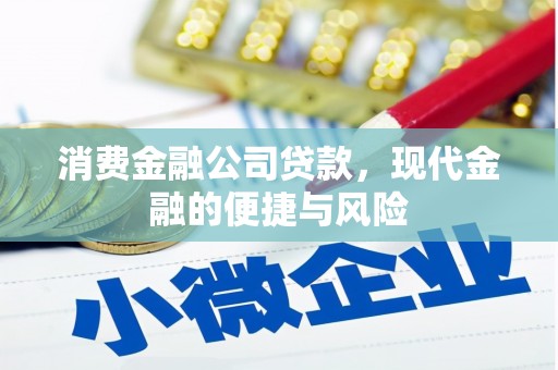 龙崎消费金融公司贷款，现代金融的便捷与风险