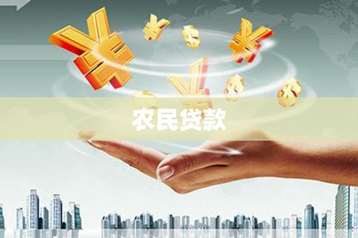 龙崎农民贷款