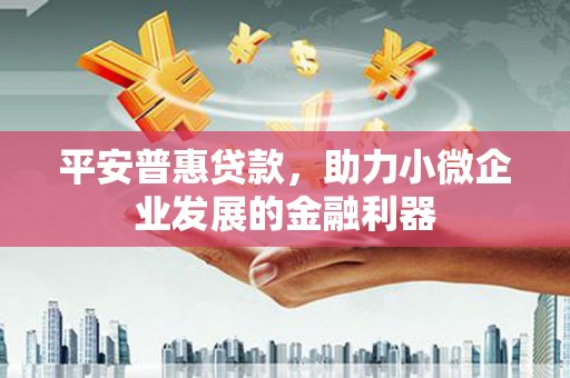 龙崎平安普惠贷款，助力小微企业发展的金融利器