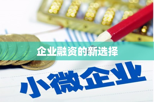 龙崎企业融资的新选择