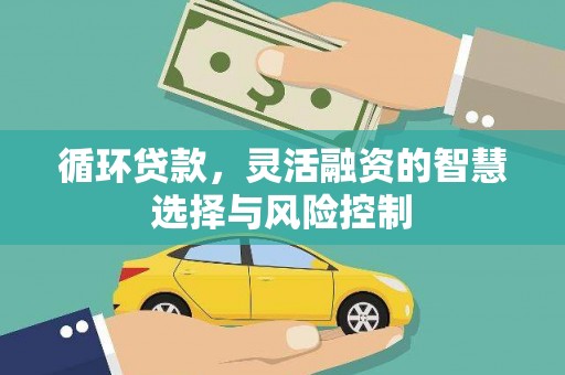 龙崎循环贷款，灵活融资的智慧选择与风险控制