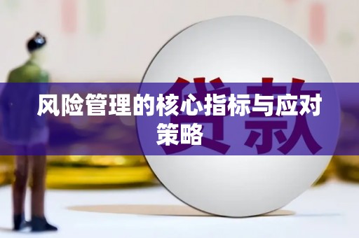 龙崎风险管理的核心指标与应对策略