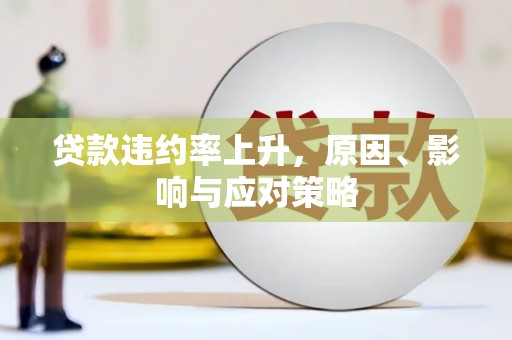 龙崎贷款违约率上升，原因、影响与应对策略