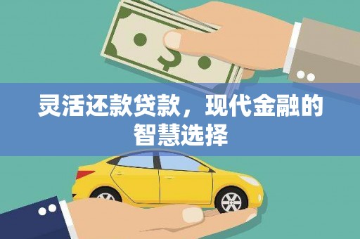 龙崎灵活还款贷款，现代金融的智慧选择