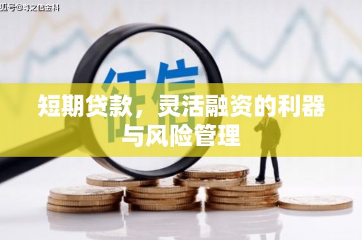 龙崎短期贷款，灵活融资的利器与风险管理