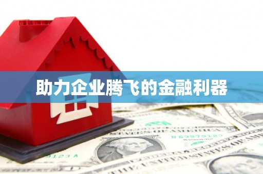 龙崎助力企业腾飞的金融利器