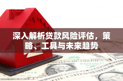 龙崎深入解析贷款风险评估，策略、工具与未来趋势