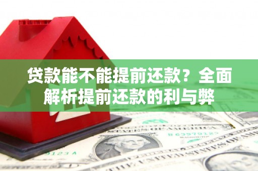龙崎贷款能不能提前还款？全面解析提前还款的利与弊