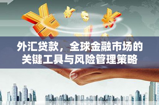 龙崎外汇贷款，全球金融市场的关键工具与风险管理策略