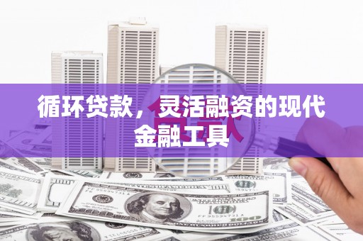 龙崎循环贷款，灵活融资的现代金融工具