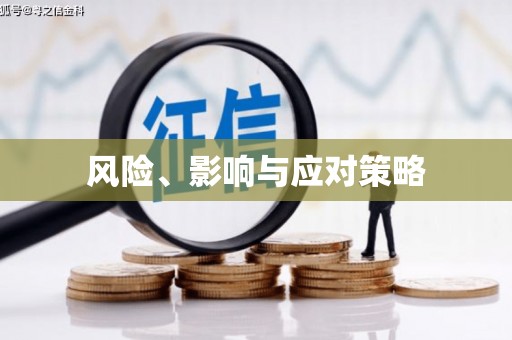 龙崎风险、影响与应对策略