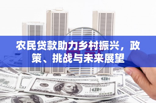 龙崎农民贷款助力乡村振兴，政策、挑战与未来展望