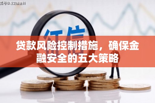 龙崎贷款风险控制措施，确保金融安全的五大策略