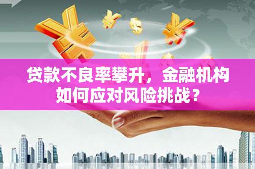 龙崎贷款不良率攀升，金融机构如何应对风险挑战？